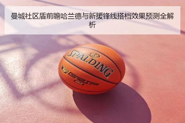 曼城社区盾前瞻哈兰德与新援锋线搭档效果预测全解析